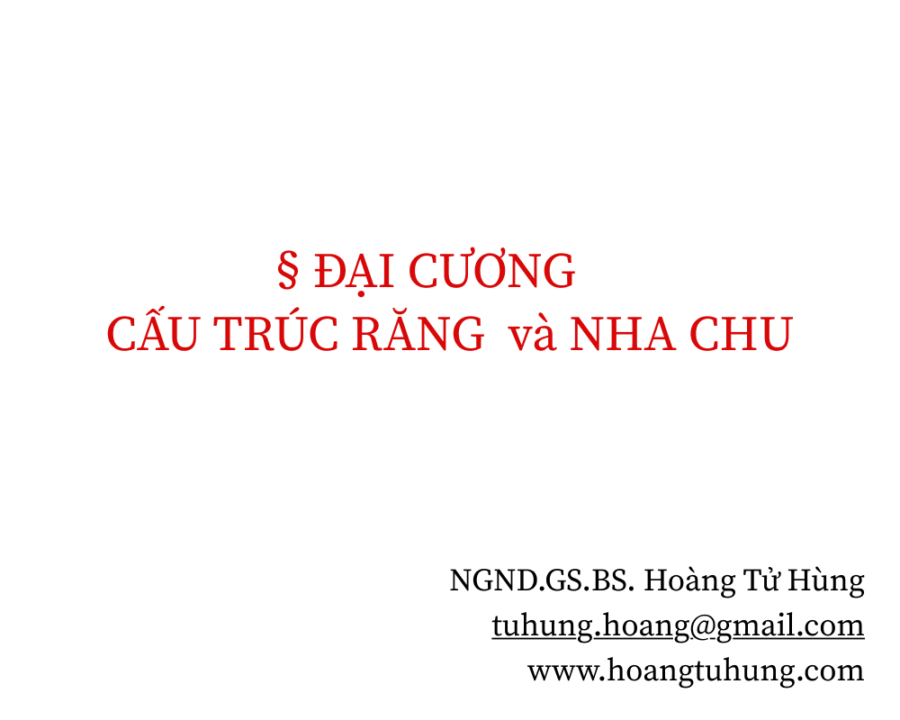 Nhaedu (2) Nha Khoa Chia Sẻ