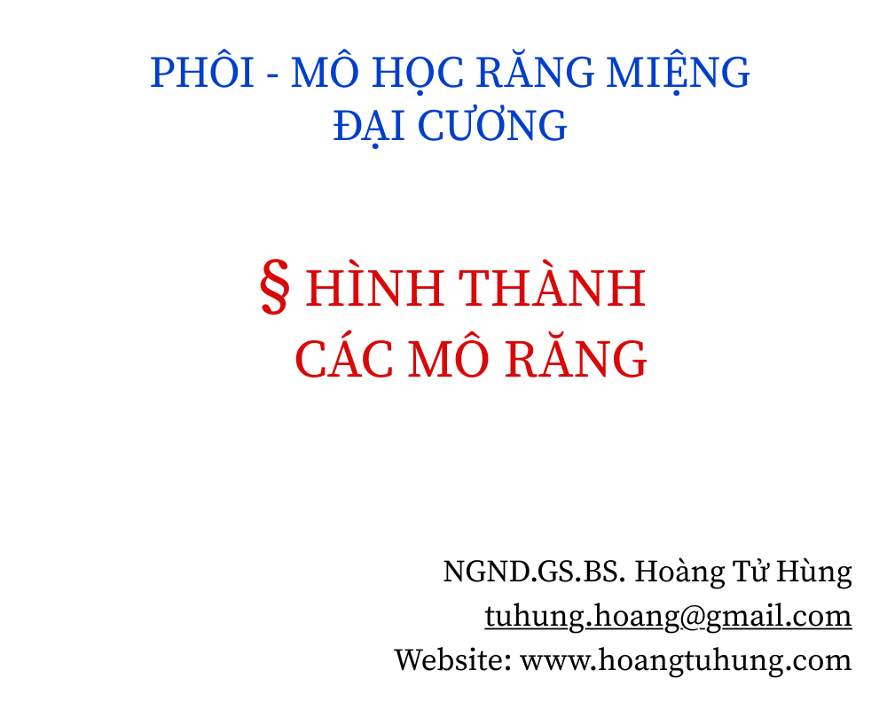 Nhaedu (20) Nha Khoa Chia Sẻ