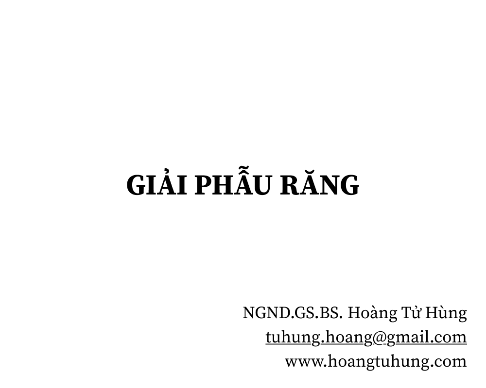 Nhaedu (3) Nha Khoa Chia Sẻ