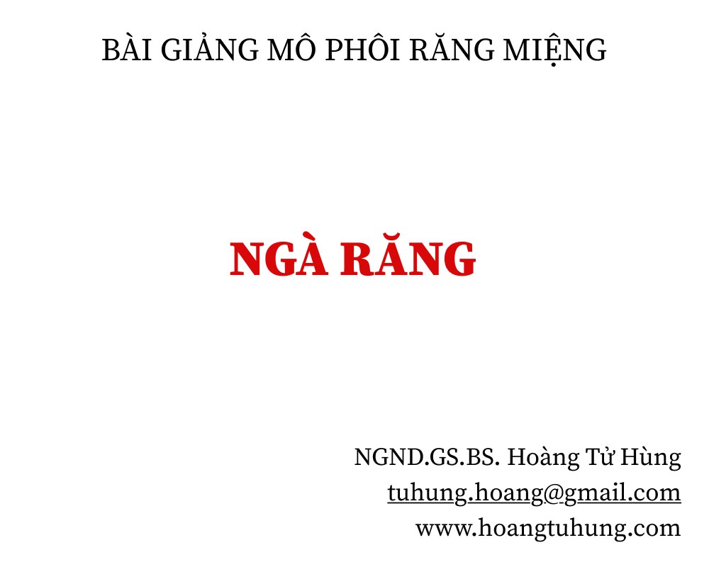 Nhaedu Nha Khoa Chia Sẻ